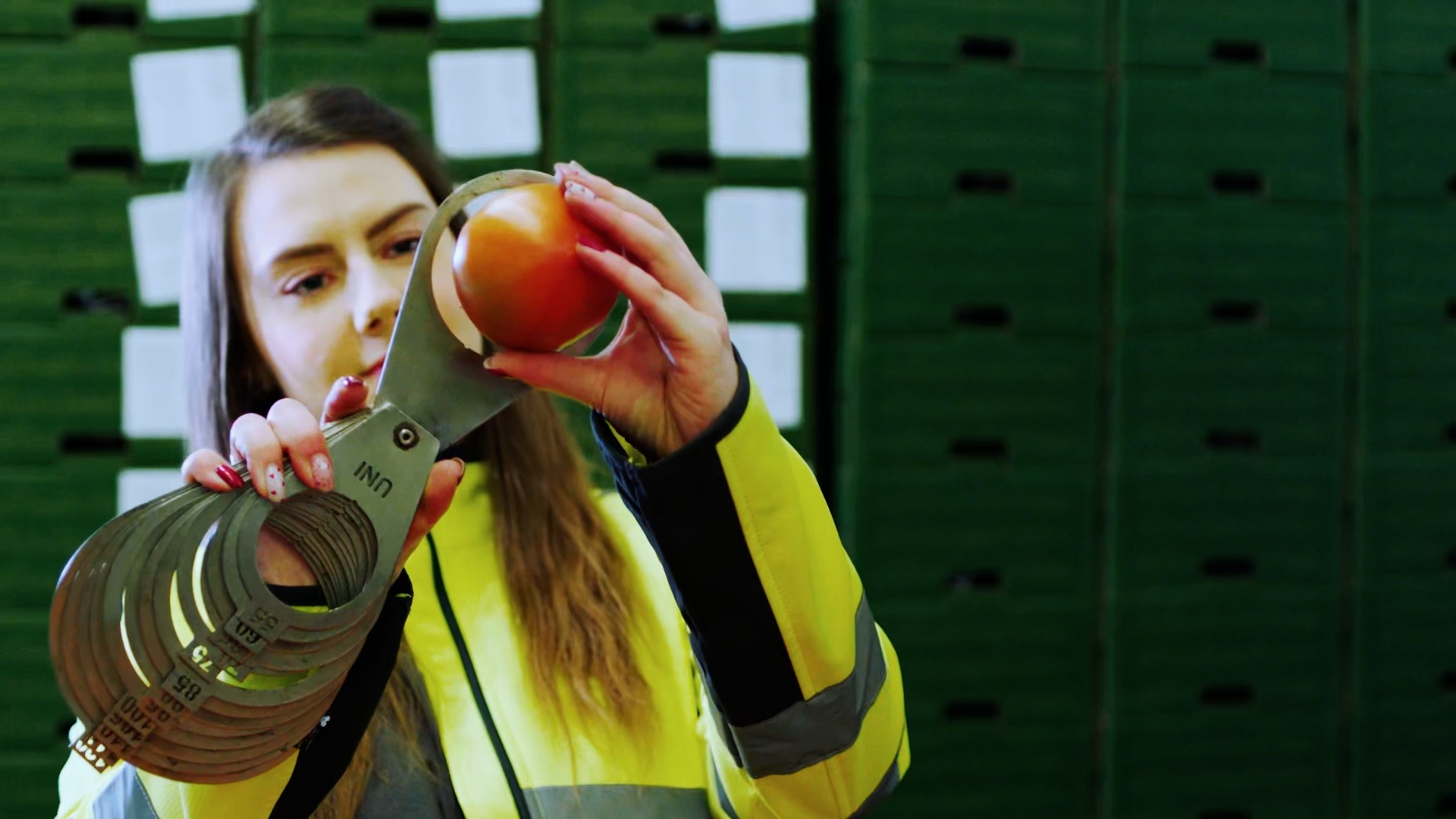 LIDL Branding- und Recruitingfilm